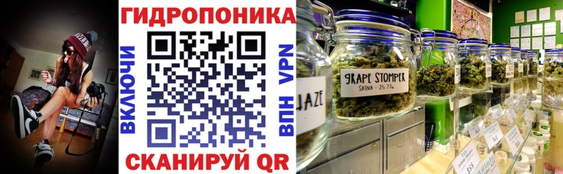 Шишки марихуана сатива  Купить  Опочка 